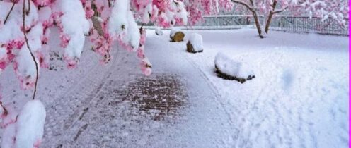 Neve di primavera: la sottile fragilità dell’animo umano